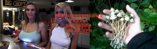 соль ск Алексин
