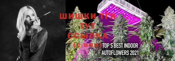 винт Мегион