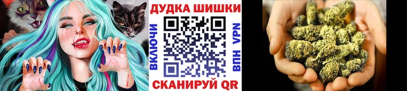 где купить наркоту  omg ONION  Марихуана марихуана  Грозный 